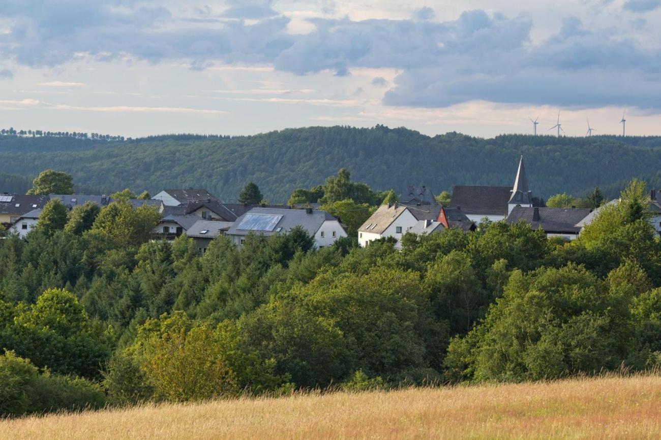 Ferienwohnung Nisius Geisfeld  Екстериор снимка
