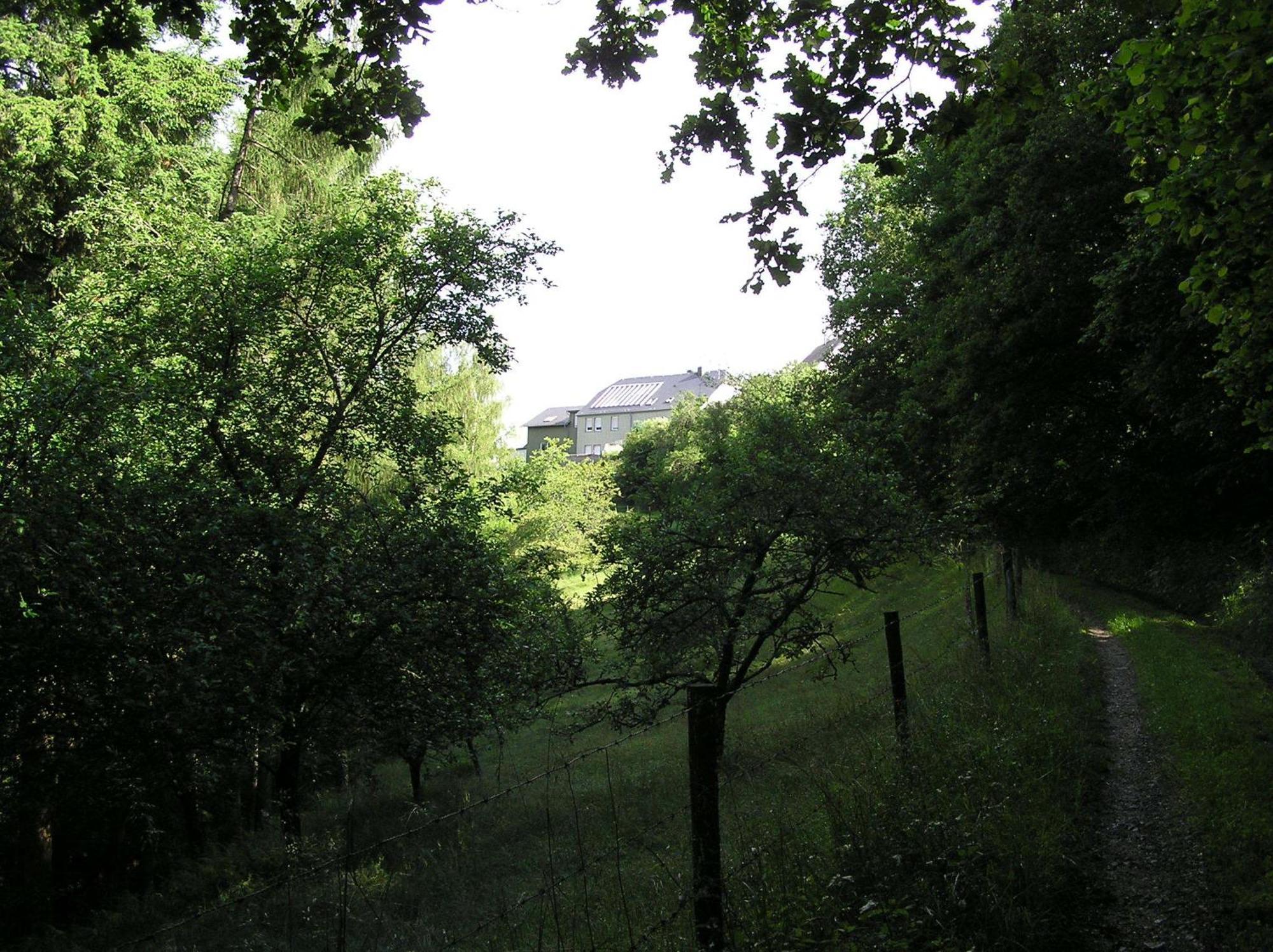 Ferienwohnung Nisius Geisfeld  Екстериор снимка